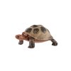 Želva obrovská zooted plast 8cm