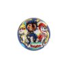 Míč Tlapková patrola/Paw patrol nafouknutý 14cm v síťce