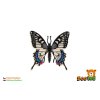 Motýl tropický Papilio/otakárek fenyklový zooted plast 8cm