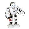 Robot RC FOBOS plast interaktivní chodící 40cm česky mluvící na baterie s USB v krabici 31x45x13cm