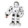 Robot RC FOBOS plast interaktivní chodící 40cm česky mluvící na baterie s USB v krabici 31x45x13cm