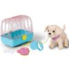 ZAPF CREATION BABY BORN Můj veselý pejsek s přepravním boxem