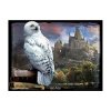 PRIME 3D PUZZLE - Harry Potter Hedvika 300 ks