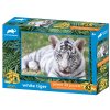PRIME 3D PUZZLE - Bílý tygr 63 dílků 10711