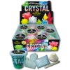 Rostoucí krystal 30g