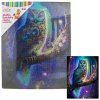 Diamantové malování - Noční sova 40 x 50 cm