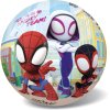 Míč Marvel Spidey 23 cm