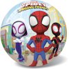 Míč Marvel Spidey 23 cm