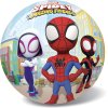 Míč Marvel Spidey 23 cm