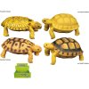 Zvířecí svět - Želva H54 4 druhy