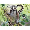 PRIME 3D PUZZLE - Lemur 100 dílků