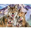 PRIME 3D PUZZLE - Selfie s vlkem 63 dílků
