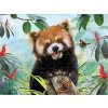 PRIME 3D PUZZLE - Červená panda 48 dílků
