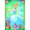 Minipuzzle Krásné princezny/Disney Princess 54dílků 4 druhy v krabičce 6x9x4cm 40ks v boxu
