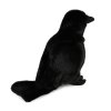 Rappa Plyšová vrána 25 cm ECO-FRIENDLY