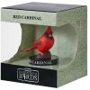 Mojo Kardinál červený v krabičce