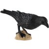 Vrána černá 11cm pták zvířátko plastová figurka Zooted