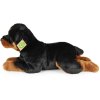 PLYŠ Pes rotvajler 39cm Eco-Friendly *PLYŠOVÉ HRAČKY