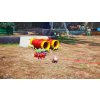 SWITCH Pikmin 4