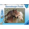 RAVENSBURGER Puzzle koně XXL 150 dílků 49x36cm skládačka