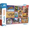 TREFL PUZZLE Animal Planet Divoká příroda 68x48cm skládačka 1000 dílků