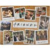 PALADONE Puzzle Přátelé (Friends) 76x61cm skládačka 1000 dílků