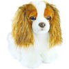 PLYŠ Pes King Charles 20cm španěl *PLYŠOVÉ HRAČKY*
