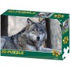 PUZZLE 3D Vlk 31x23cm 100 dílků skládačka v krabici