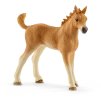SCHLEICH Quarter kůň a hříbě set se štěňátkem a doplňky plast