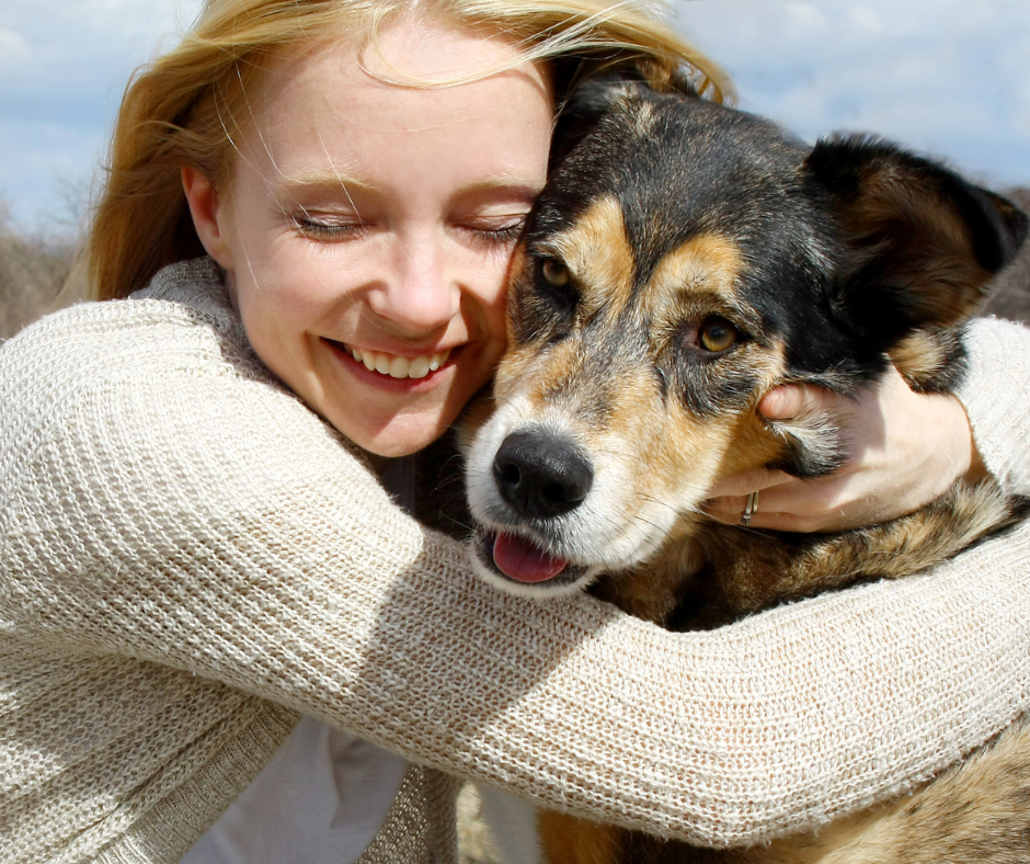 Kaufen oder adoptieren?