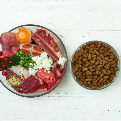 Die häufigsten Mythen über Hundefutter