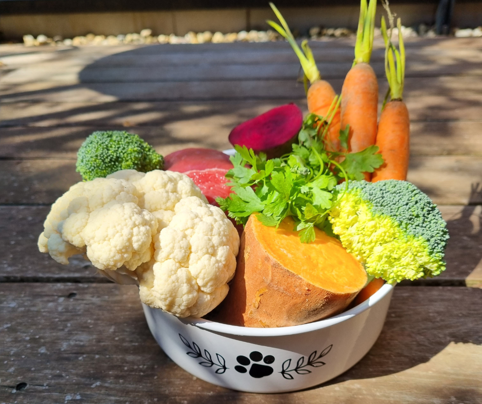 Polyphenole im Hundefutter