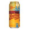 Pivo Jantar Svitle plech 4,2 % obj.
