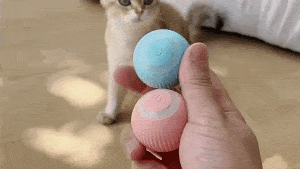 pet-smartball-samohybna-nabijatelna-lopticka-pre-psov-a-macky-mixpick