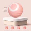 Pet SmartBall - Samohybná nabíjateľná loptička pre psov a mačky