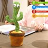 mp funny cactus spievajuci kaktus s opakovanim hlasu 1