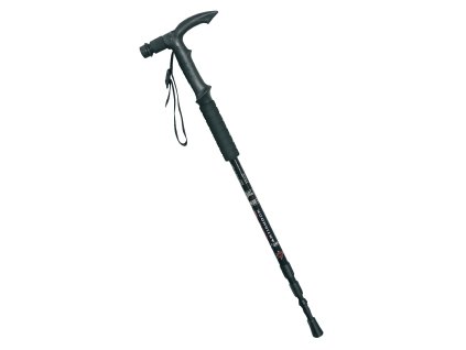 CL CMP1