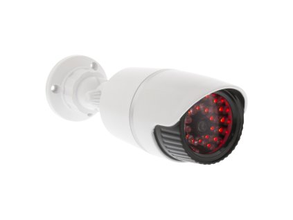 SAS DUMMY120W 3