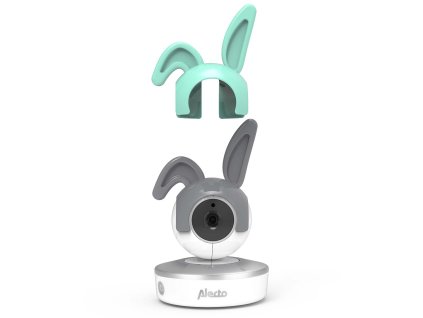DIVM EARS P10