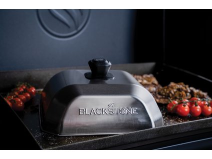 25624 5555 bastingdome 01