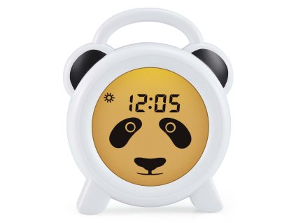 BC100PANDA P10