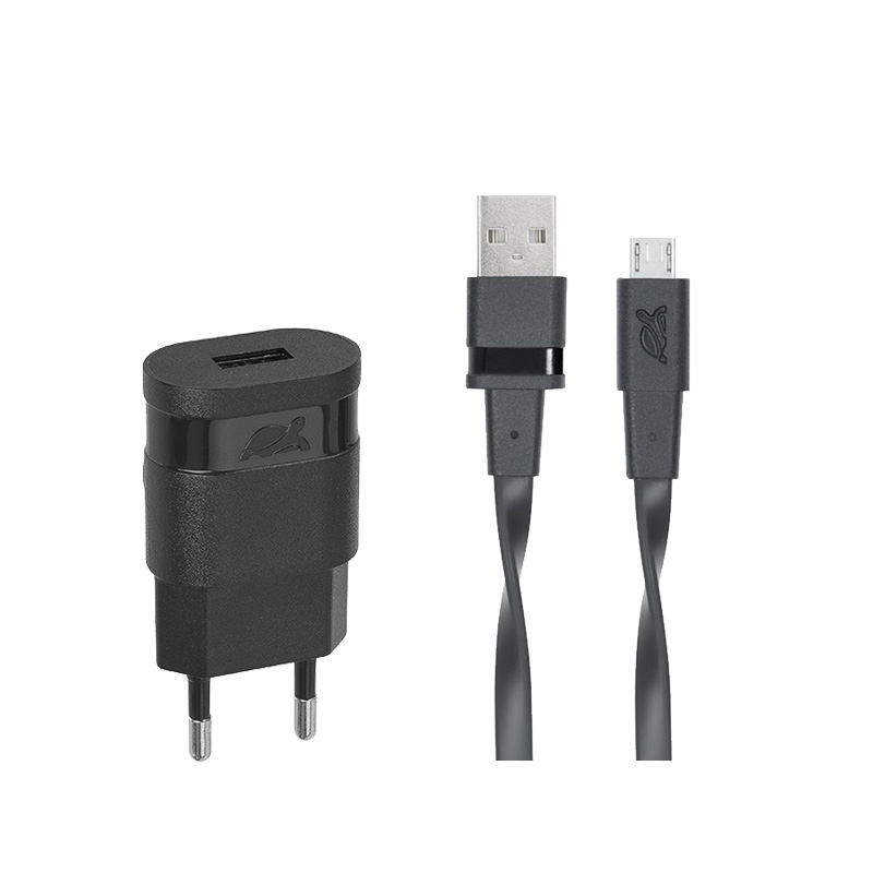 Riva Power 4111 BD1 síťová nabíječka 1.0 A/ 1 USB, černá + micro USB kabel