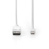 Mini DisplayPort - DisplayPort Kabel | Mini DisplayPort Zástrčka - DisplayPort Zástrčka | 2 m | Bílý