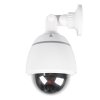 SAS DUMMY210W 2