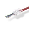 Konektor RJ45 pro CAT5 UTP kabely s drátovými vodiči, 10 ks (CCGB89330TP)