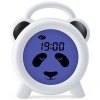 BC100PANDA P11