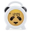 BC100PANDA P10