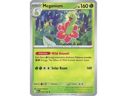 MEG010
