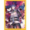 Pokémon TCG: Cyrus Premium Tournament Collection Sleeves