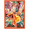 Charizard ex Premium Collection Sleeves